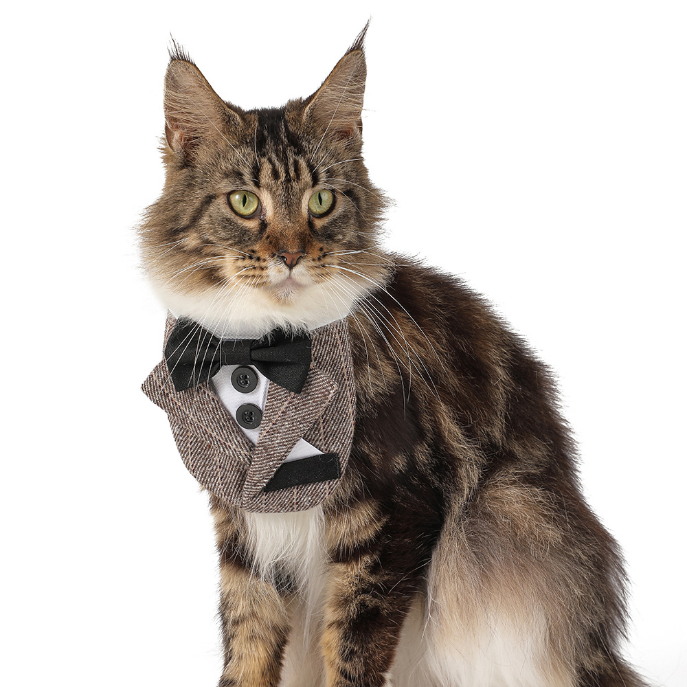 Triangular Wedding Napkin Pet Suit