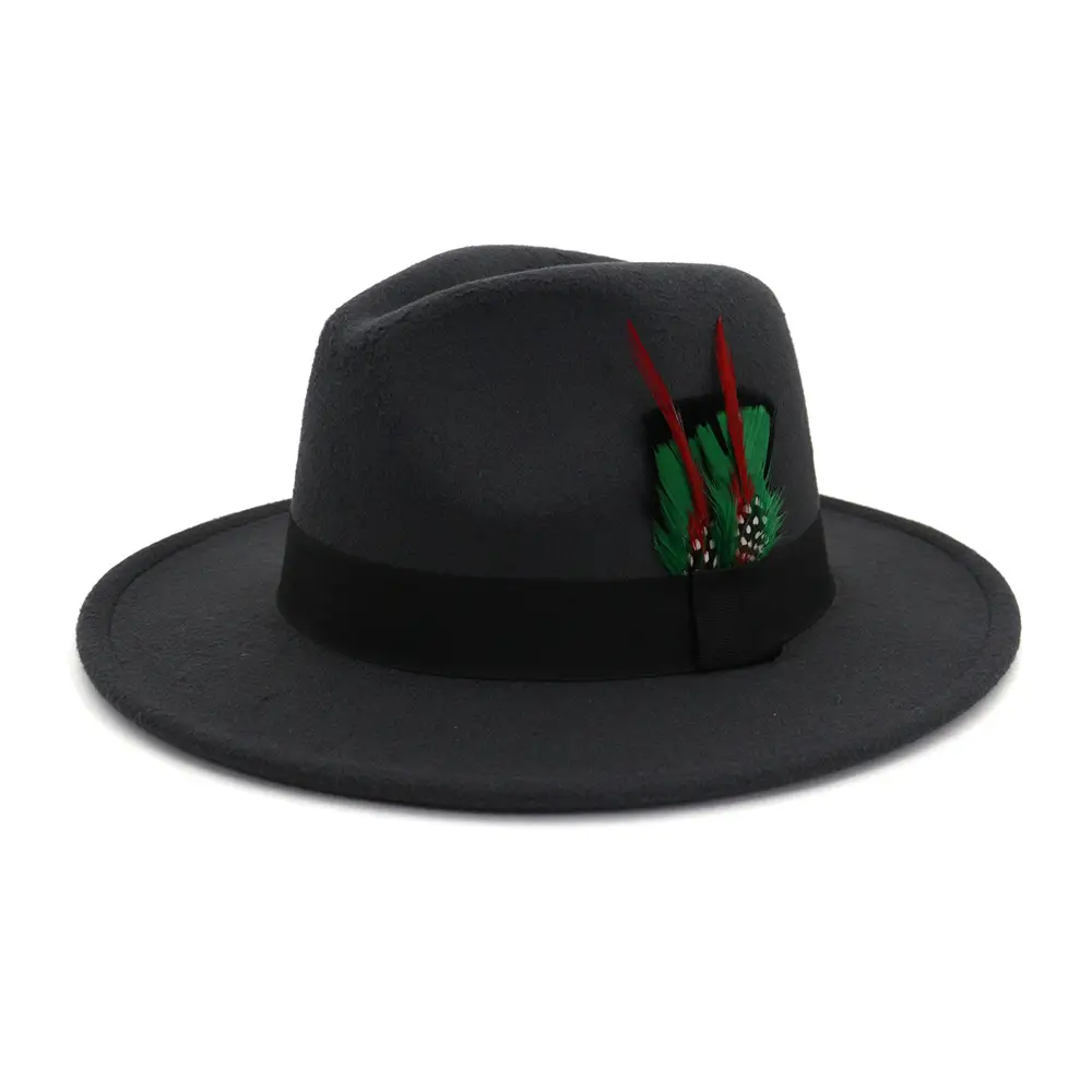 Men's And Women's New Woolen Broad-brimmed Hat Classic Top Fashion Feather Hat