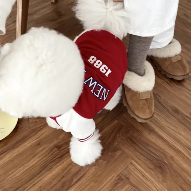 Simple Printed Autumn Pet Baseball Uniform Red - Shop at LoveMi