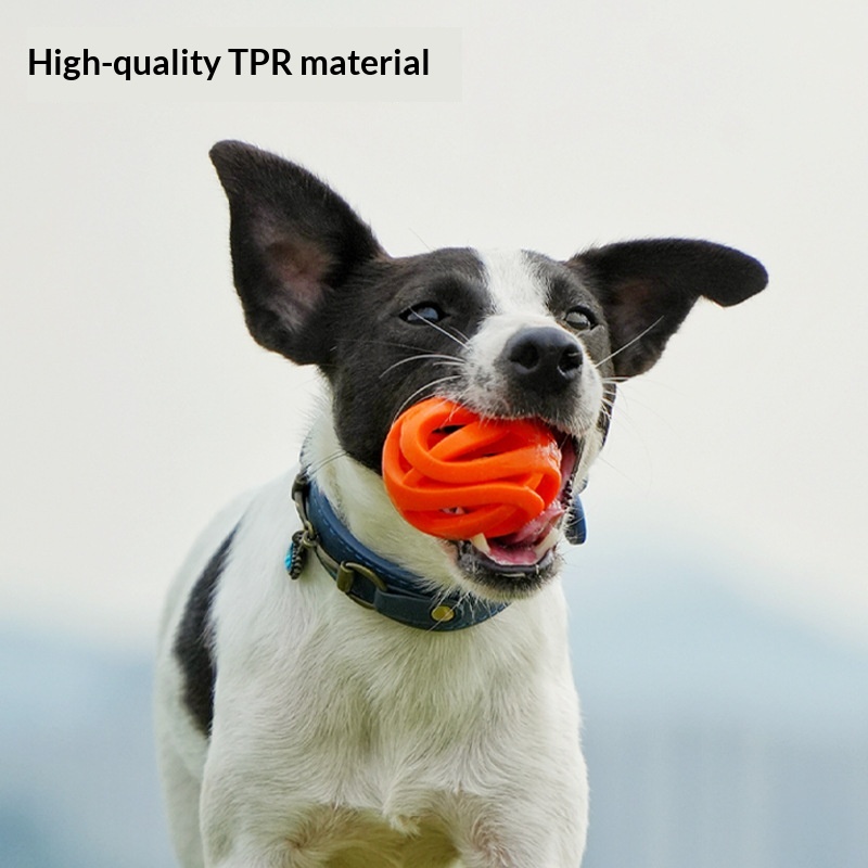 Juguete para perros y mascotas de uso en exteriores, muy elástico y resistente a los mordiscos
