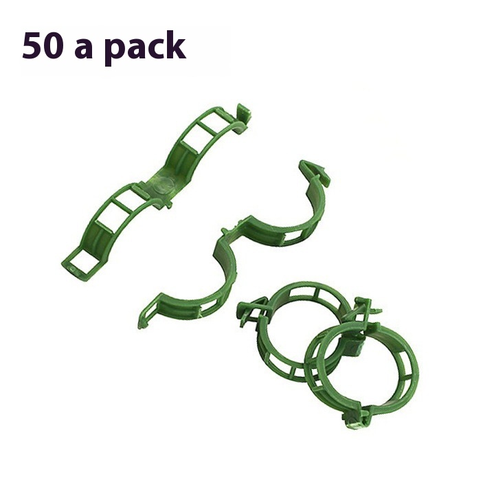 50 Pcspack Green