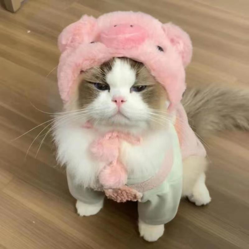 Title 9, Fashion Personality And Creativity Kitty Hat