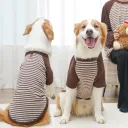 506 Brown Stripes