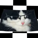 Black Glasses Cat