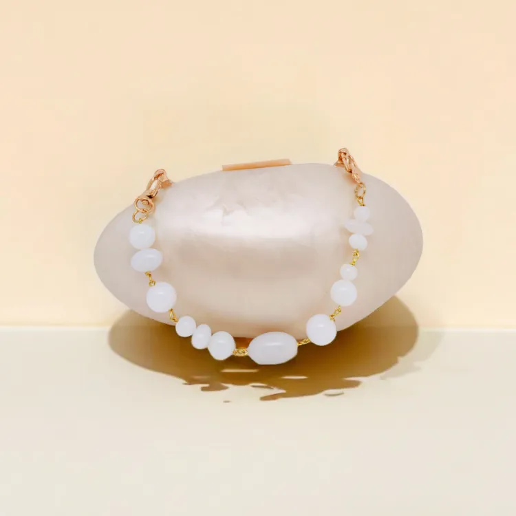 New Shell Colour Acrylic Dinner Clutch