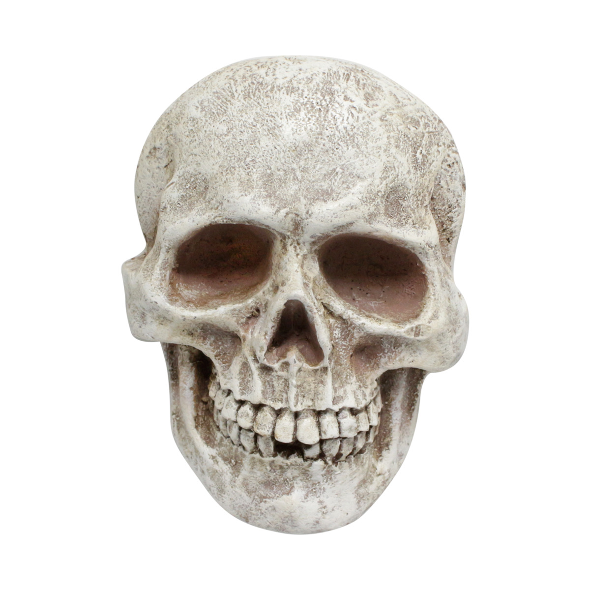 Front Skull