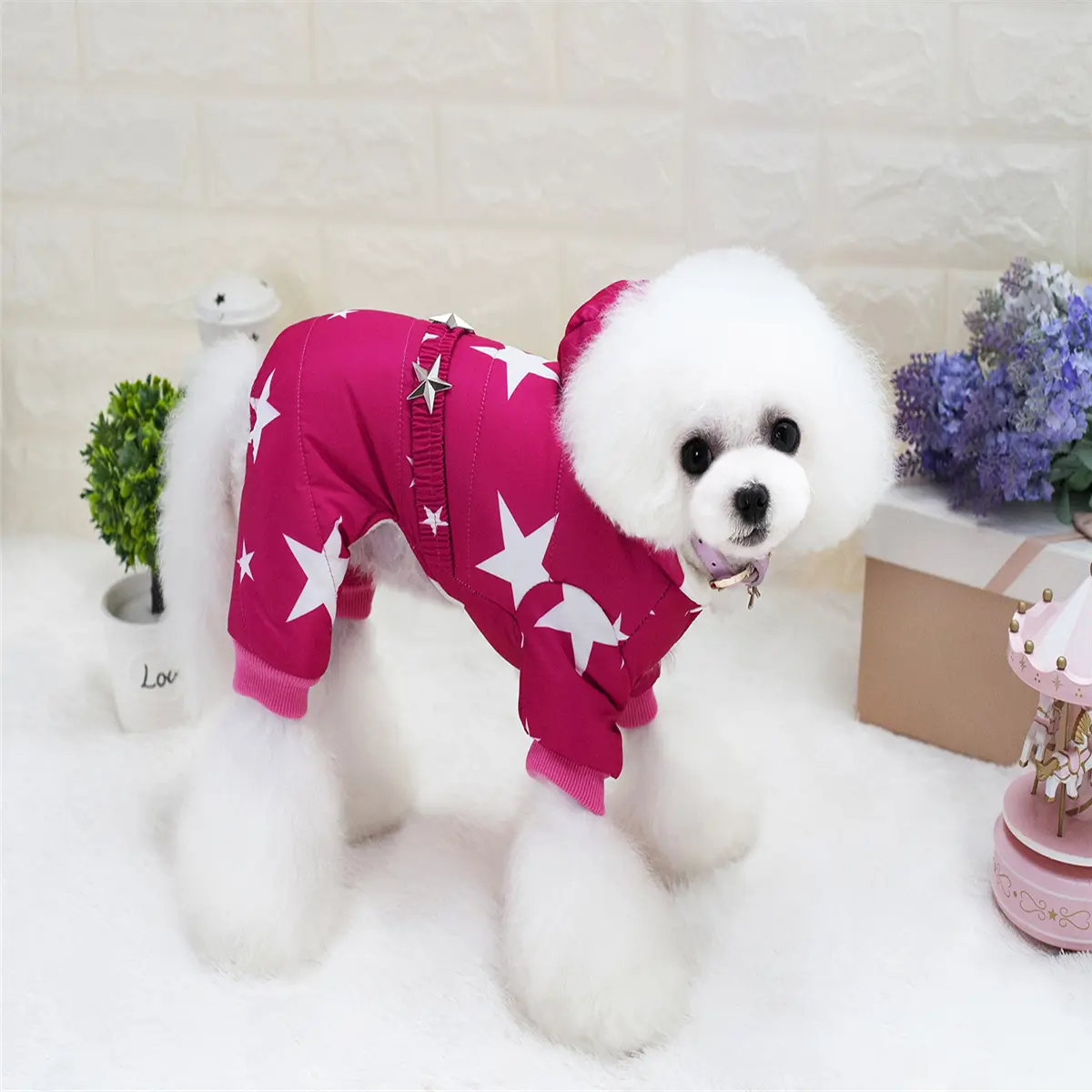 Pet Dog Clothes Poodle Clothing Autumn