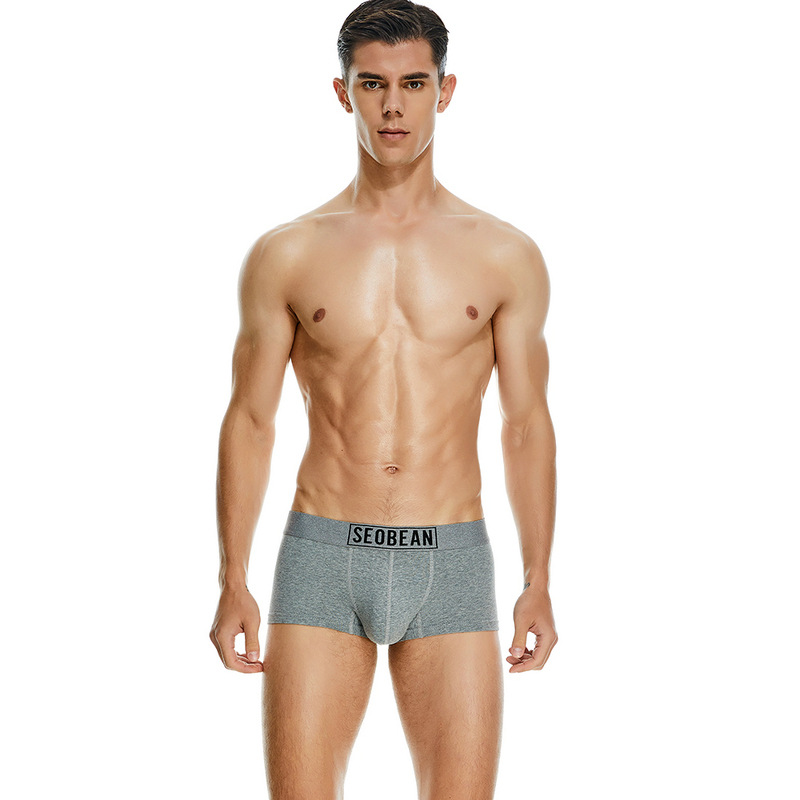 Men's Cotton Underpants Low Waist Casual Boxer Boxer Briefs