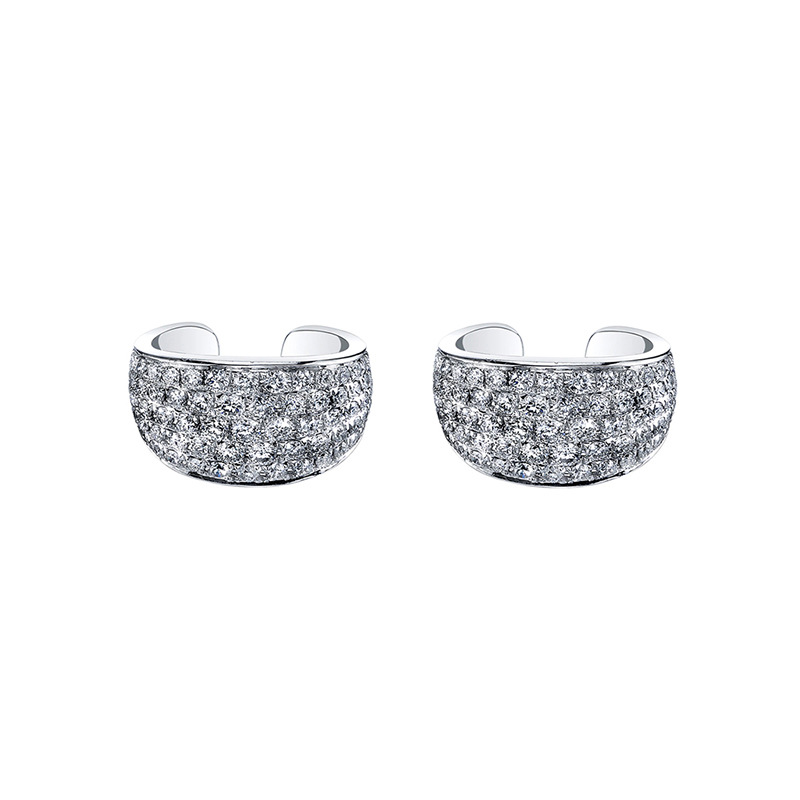 Fashionable All-match Classic Luxury Starry Earrings Simple