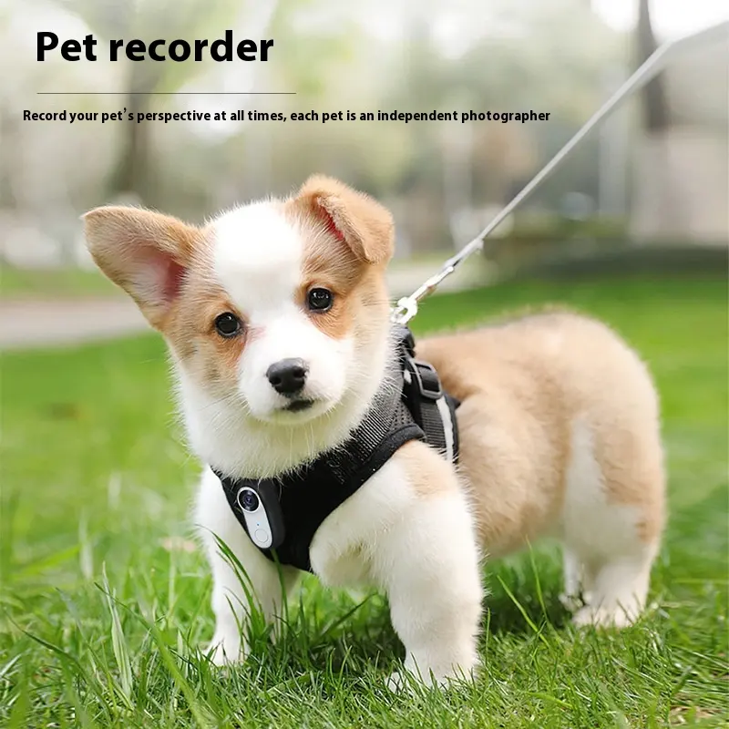 HD Pet Thumb Camera Outdoor Sports Magnetic