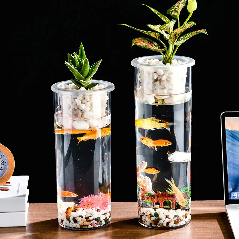 Living Room Micro Landscape Desktop Ecological Pot