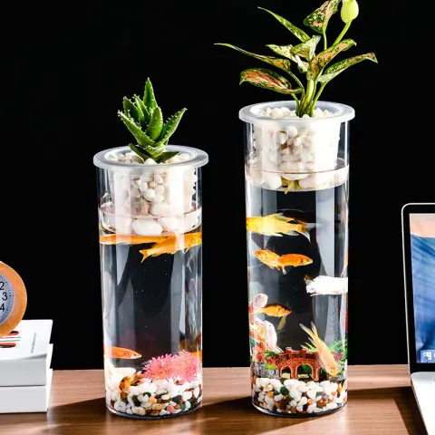 Living Room Micro Landscape Desktop Ecological Pot Transparent Plastic