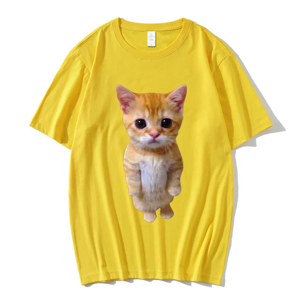 El Gato Meme Sad Crying Cat Munchkin Kitty - Yellow