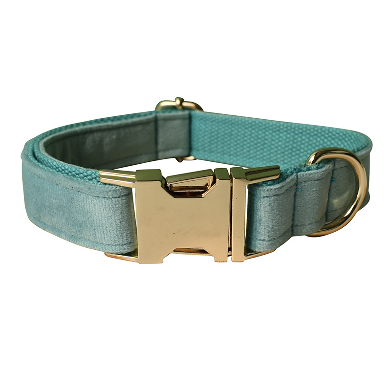 Dog Collar Gold Buckle