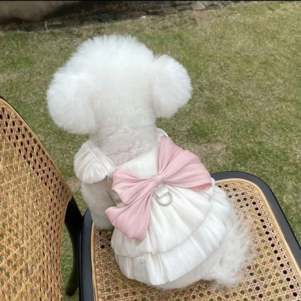 Pet Clothes Streamer Breathable Gauze Skirt Teddy Bichon Dog Cat Out Traction