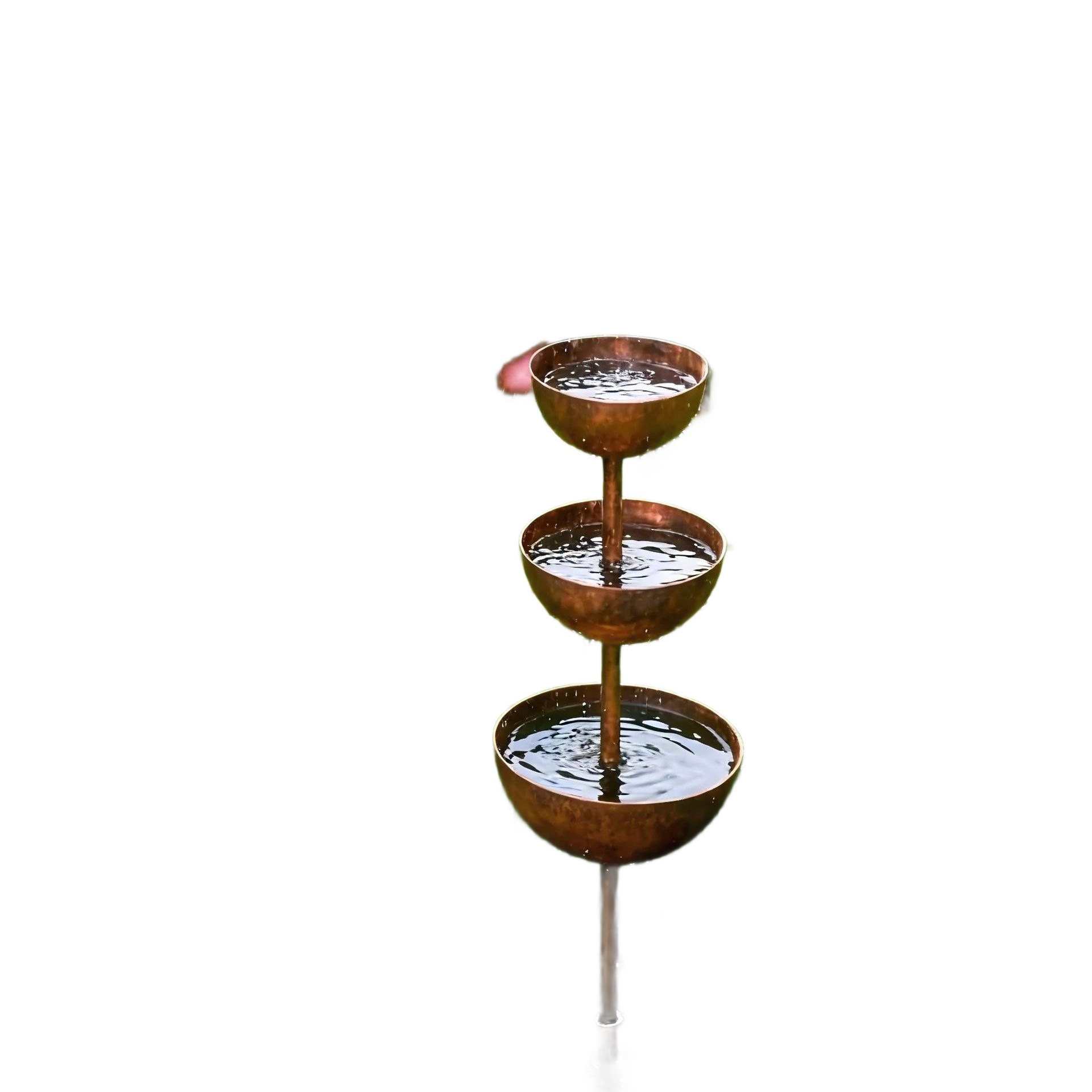 Rainwater Collector Plant Stand
