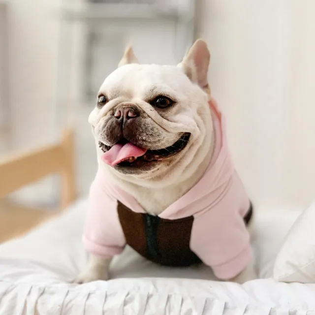 French Bulldog Clothes Autumn And Winter Clothing Small And Medium Dogs Ground Coffee Hoodie - Shop at LoveMi