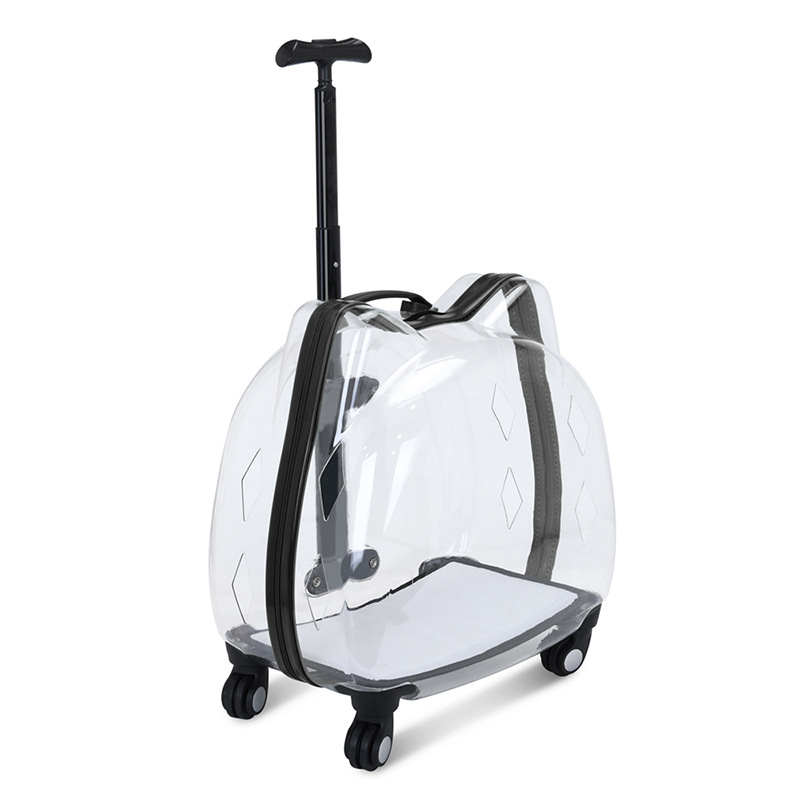 https://cf.cjdropshipping.com/quick/product/19e9d988-ce10-44e3-af61-af6426e8399f.jpg