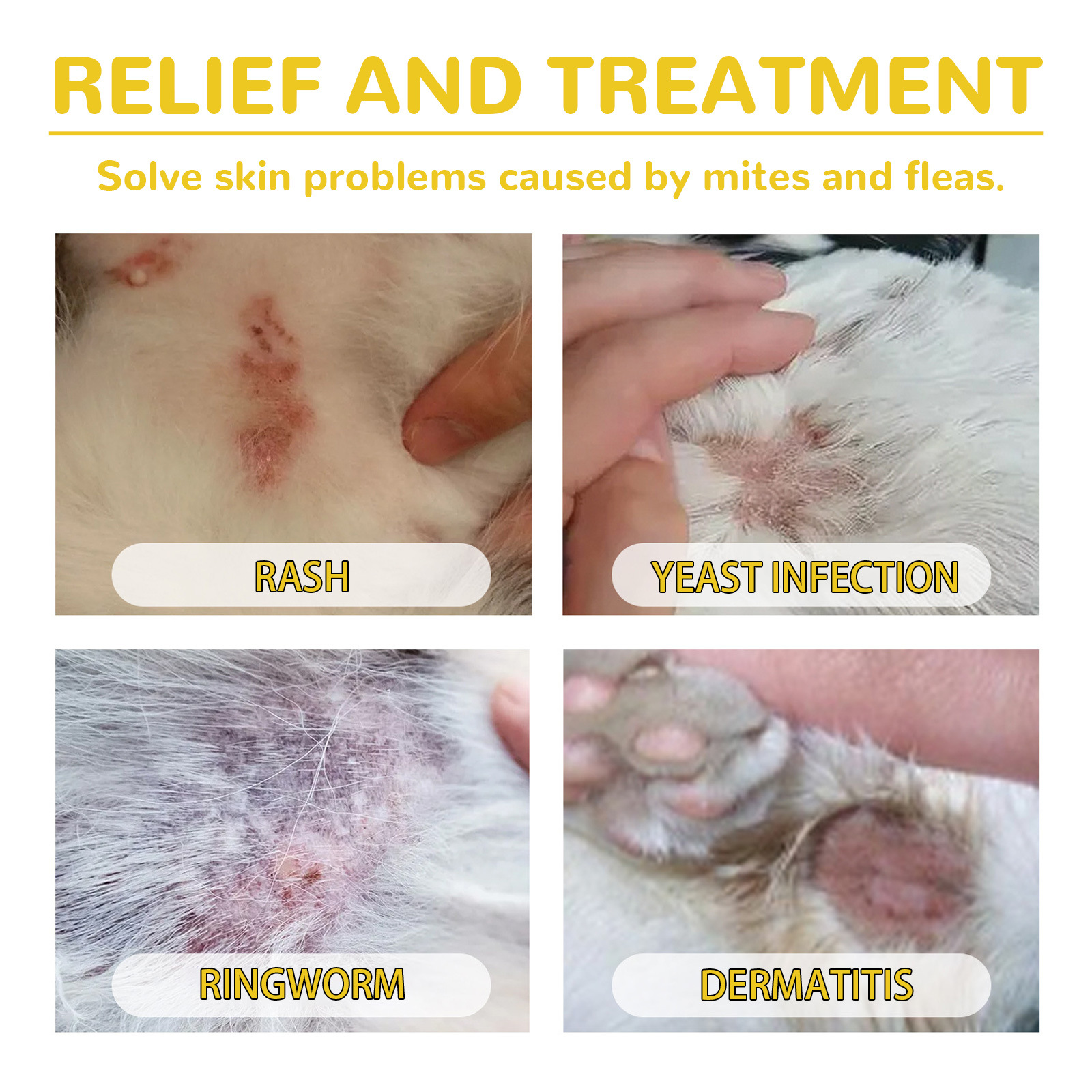 Cat And Dog Cleaning External Fleas Lice Ticks Skin Care