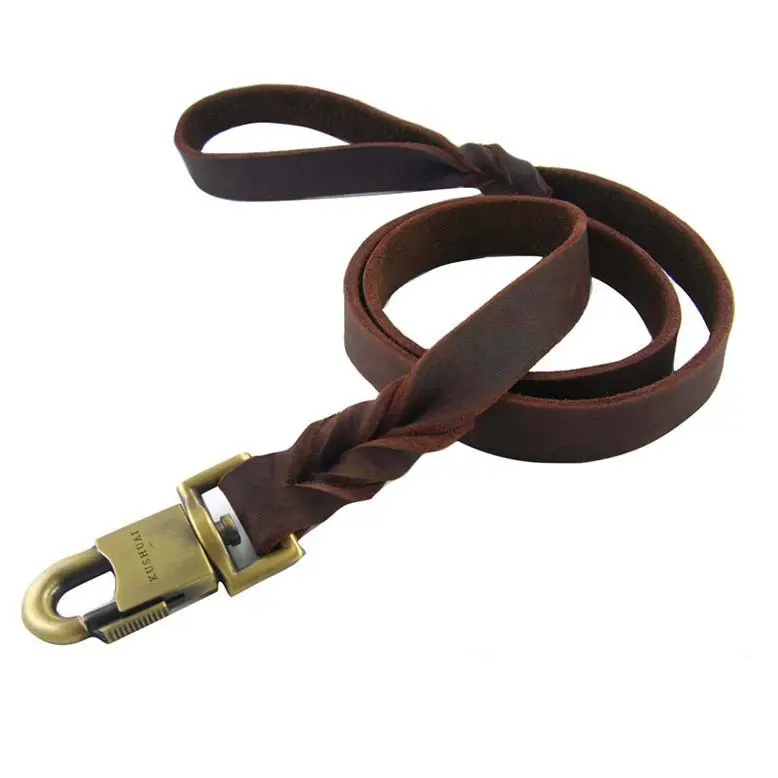 Wide Dog Leash - Heavy Duty Nylon