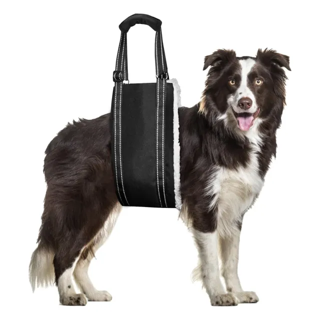 Adjustable Dog Rehabilitation Training Belt Elderly Disabled Pet Supplies Black - Shop at LoveMi
