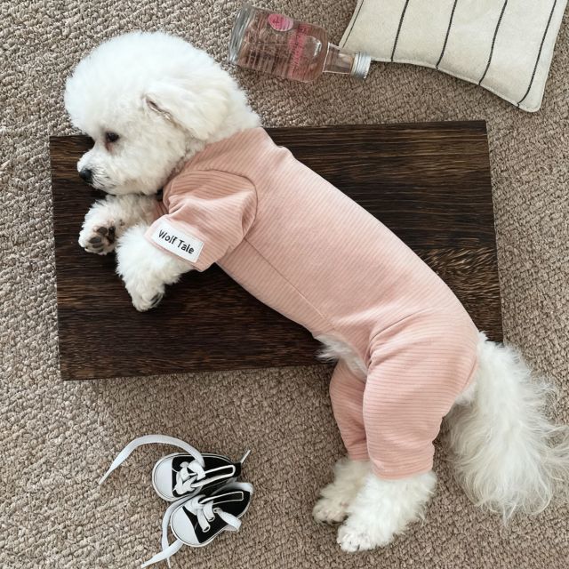 Pet Autumn Winter Warm Striped Four-Legged Jumpsuit detail photo 4