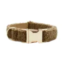 Dog Collar
