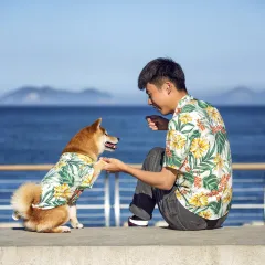 Pet Clothes Beach Casual Shirt Man Dog Parent-child Outfit - Yellow - View 1