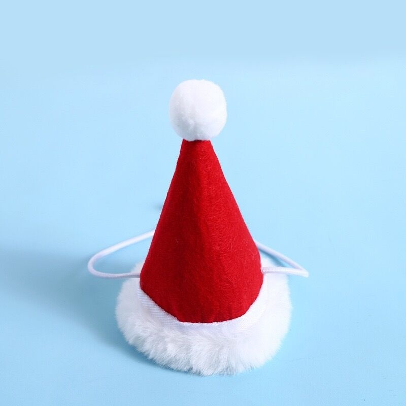 Red Christmas Hat