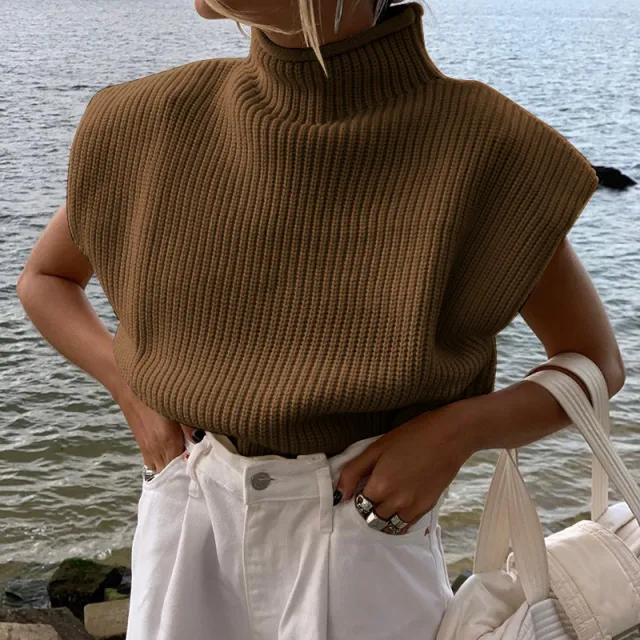 Women's Solid Color Turtleneck Sweater With Short Sleeves Top Dark Brown - Shop at LoveMi