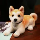 Lying Posture With Collar