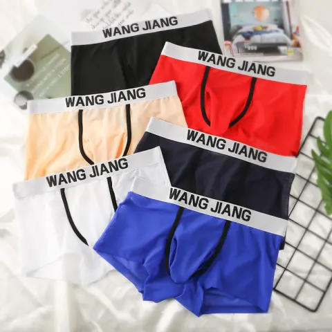 Men's Boxers Transparent Mesh Elephant Nose Underwear Bullet Separation
