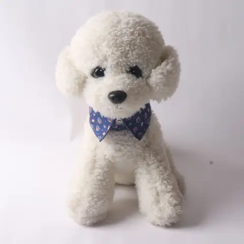 Pet Supplies with Metal Accessories Pet Collar