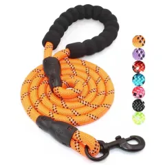 Pet Fashion Reflective Nylon Dog Leash - Orange - View 1
