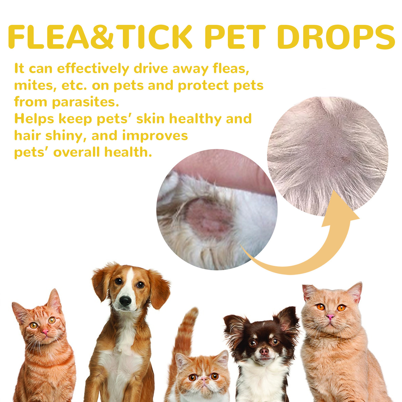 Cat And Dog Cleaning External Fleas Lice Ticks Skin Care