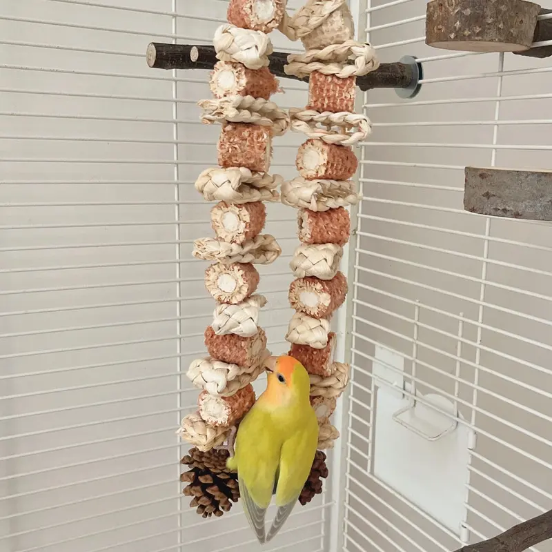 Medium And Large Parrot Bird Grinding Mouth