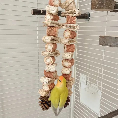 Medium and Large Parrot Bird Grinding Mouth Biting Toy