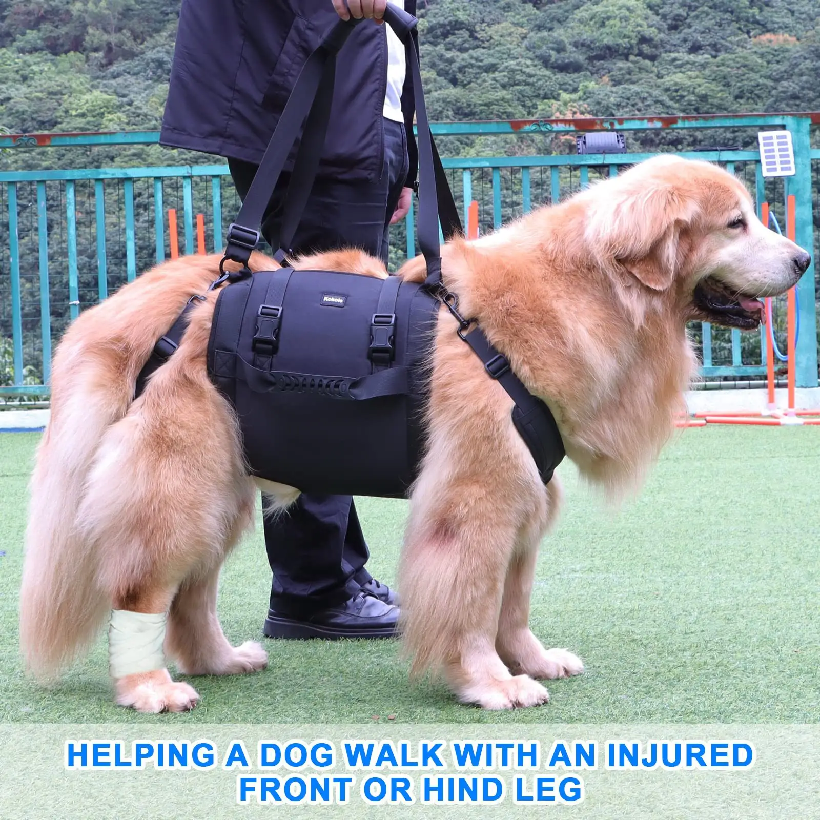 Outdoors Convenient Leg Support Rehabilitation Dog Breast