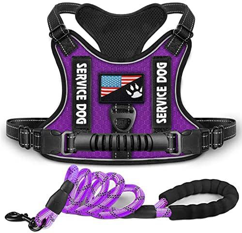 Purple With Rope