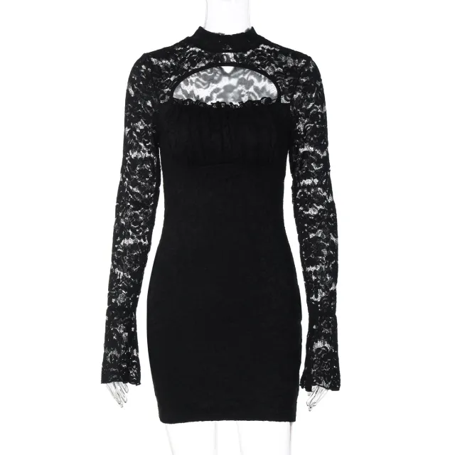 Seductive Lace Hollow out Bodycon Sheath Dress Black - Shop at LoveMi