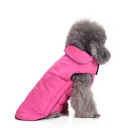 Dz155 Pink