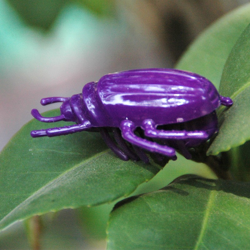 Electric Simulation Insect Toy