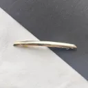 Golden Arc Spring Clip
