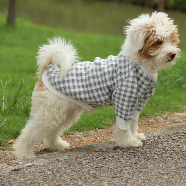 High Collar Windproof Fashion Sweater Dog Clothes Gray - Shop at LoveMi