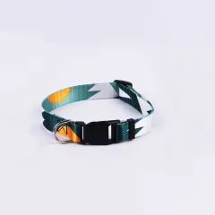 Hand Holding Rope Outing Dog Leash Dog Collar Three-piece Set - Green And White Single Coll - View 1