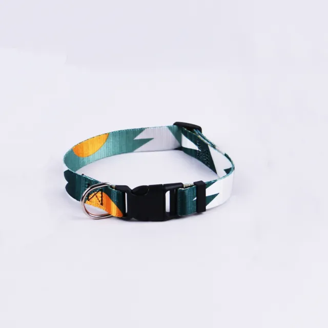 Hand Holding Rope Outing Dog Leash Dog Collar Three piece Set Green And White Single Coll - Shop at LoveMi