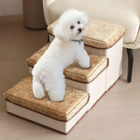 Small to Medium-sized Pet Dogs Getting Onto the Sofa
