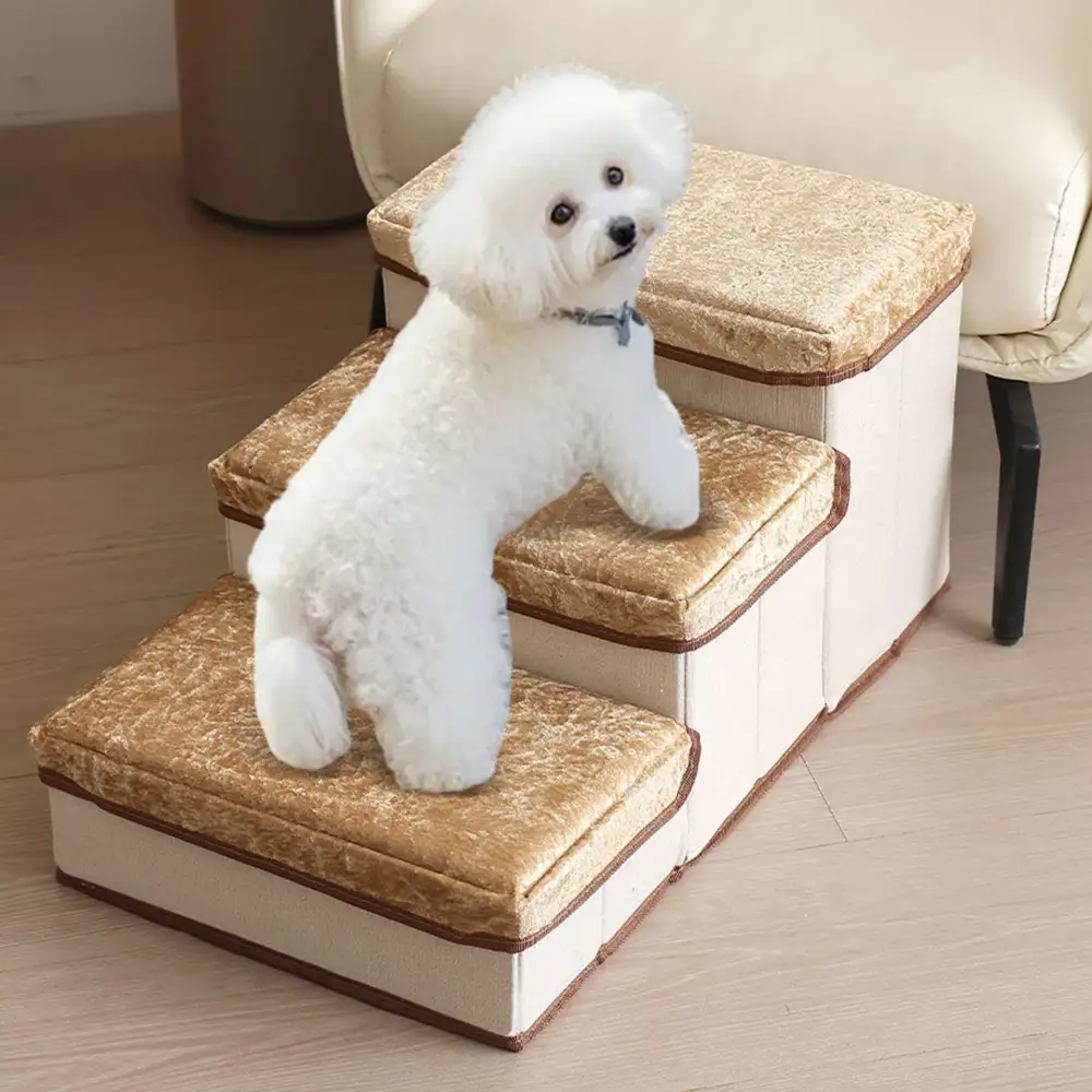 Small to Medium-sized Pet Dogs Getting Onto the Sofa