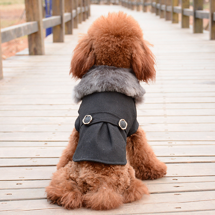 New Pet Feet Solid Color Autumn And Winter Clothing