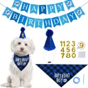 Blue Boy Hanging Flag Suit